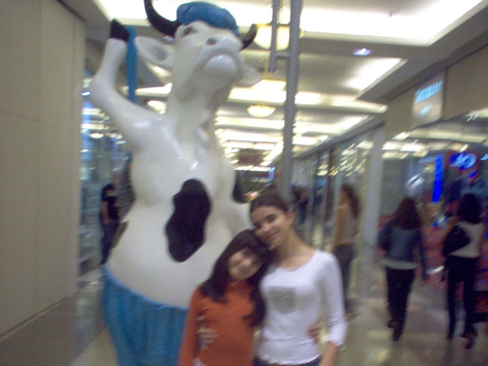 Cowpasa