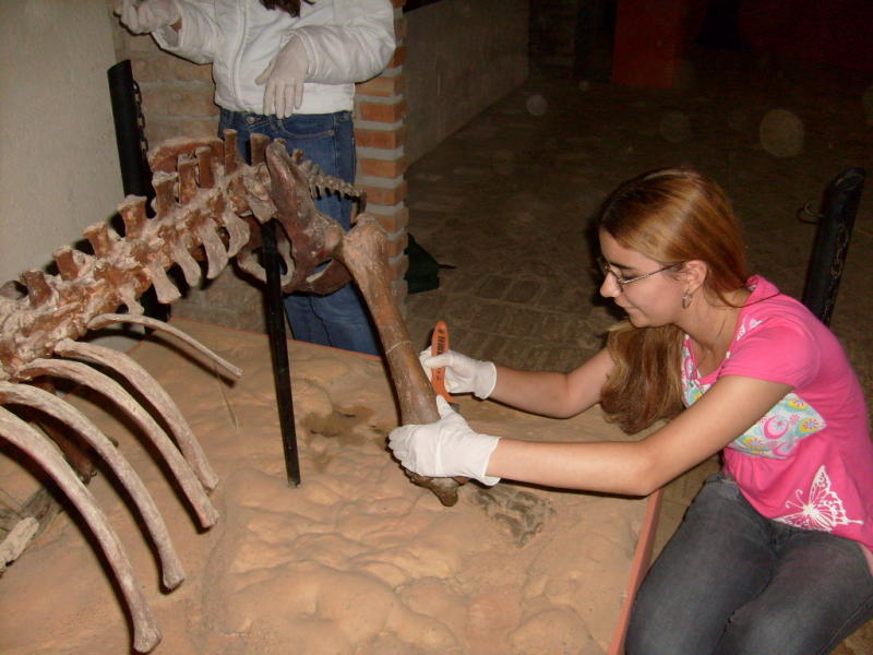 Jovem com cabelos loiros longos, óculos e camiseta rosa está participando de uma atividade prática de conservação de bens paleontológicos. Ela usa luvas brancas e segura uma réplica de osso fossilizado de dinossauro, limpando com uma trincha laranja. O fóssil faz parte de um esqueleto exposto sobre um tablado de areia, em um ambiente de museu com paredes de tijolos aparentes.