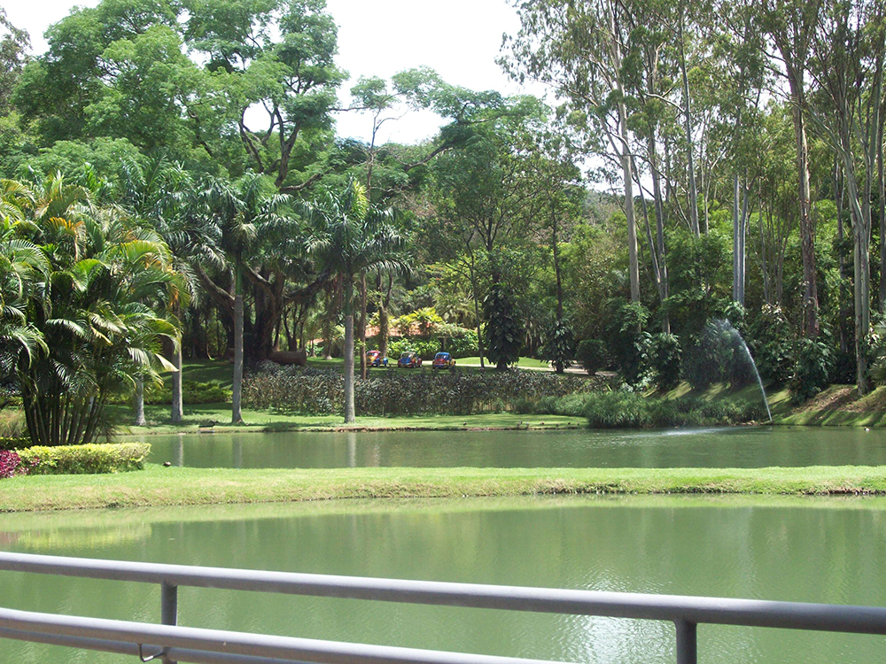 Área de paisagismo em Inhotim, com a parte de um lago artificial visível