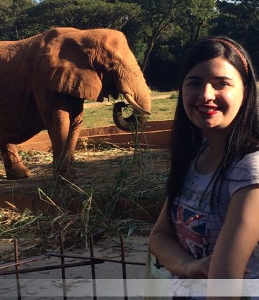 Vlog: Animais Fantásticos e Onde Habitam