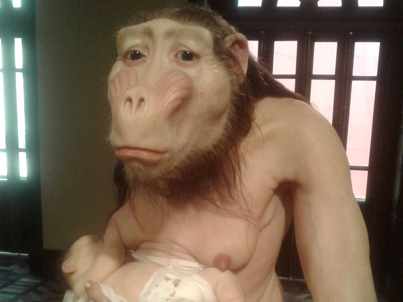 ComCiencia, Patricia Piccinini