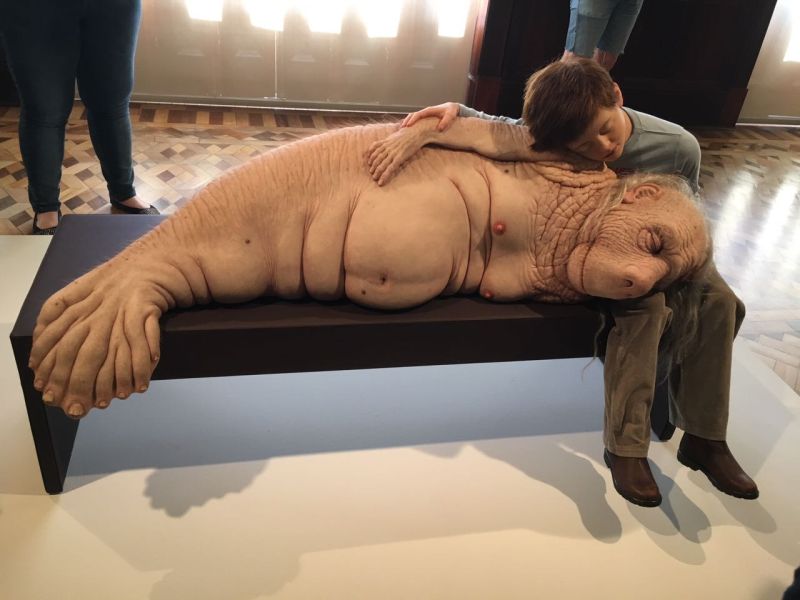 ComCiencia, Patricia Piccinini