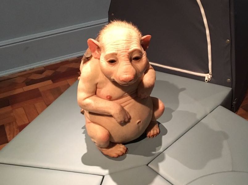 ComCiencia, Patricia Piccinini