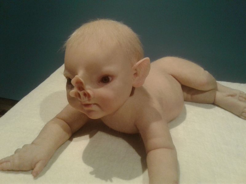 ComCiencia, Patricia Piccinini