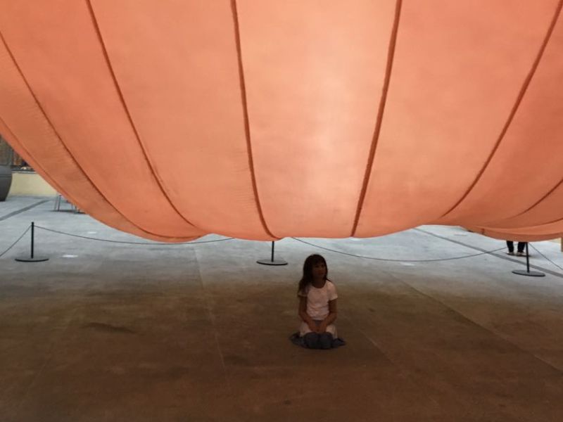 ComCiencia, Patricia Piccinini