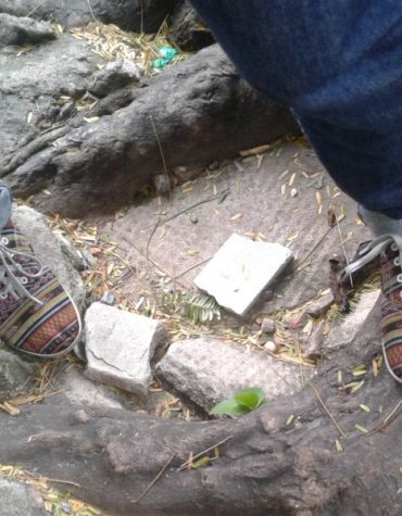 No meio do caminho tinha uma árvore…