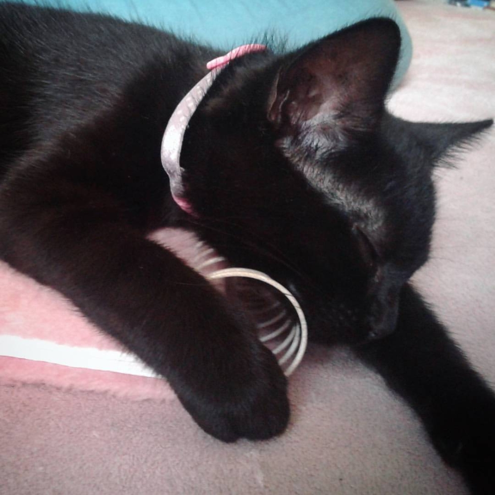 Arwen