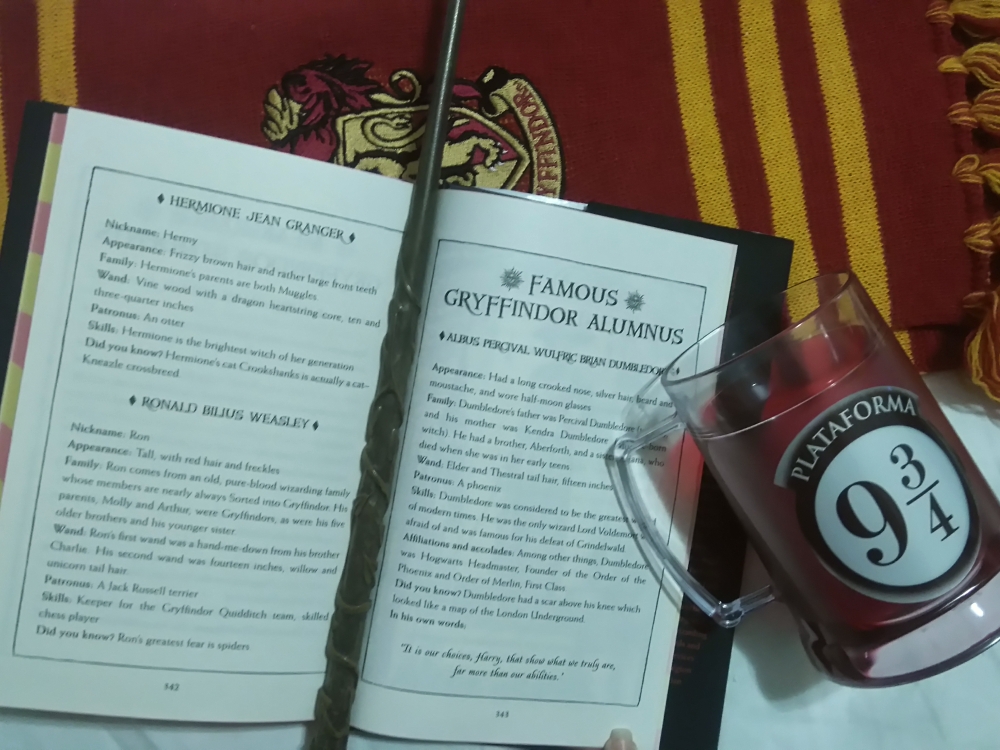 Edição Comemorativa de 20 anos de Harry Potter e a Pedra Filosofal