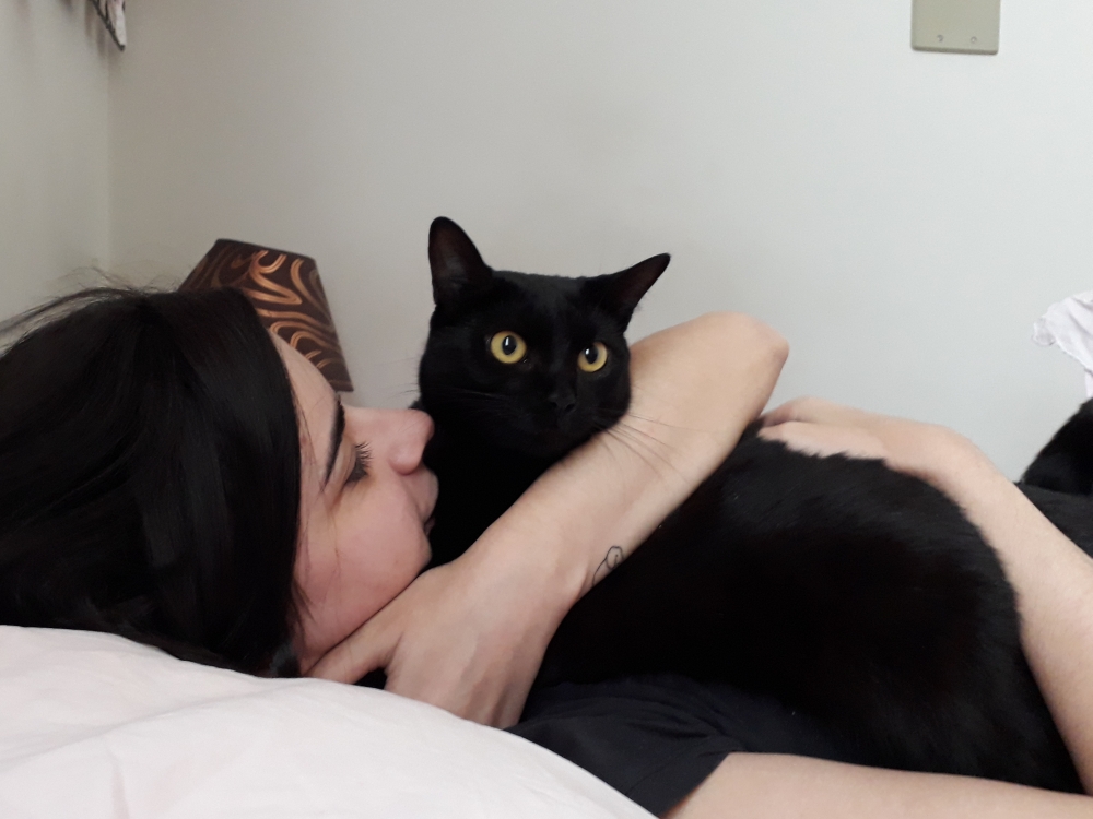 Sobre o que é família