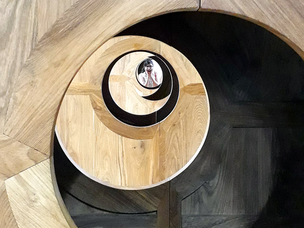 Mostra Raiz, de Ai Weiwei