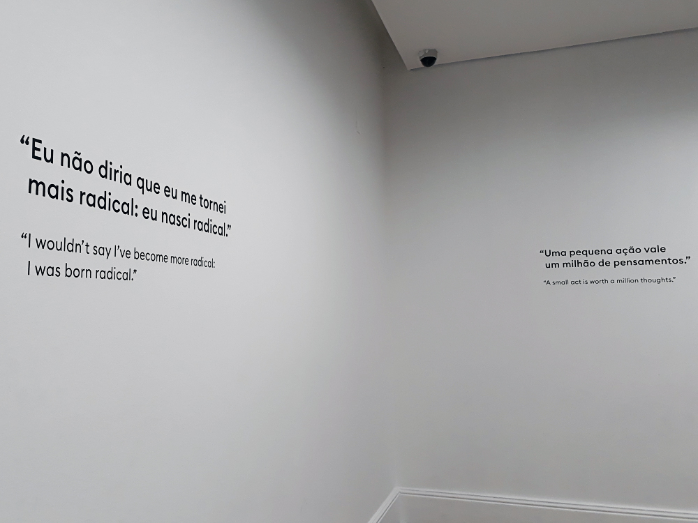 Mostra Raiz, de Ai Weiwei