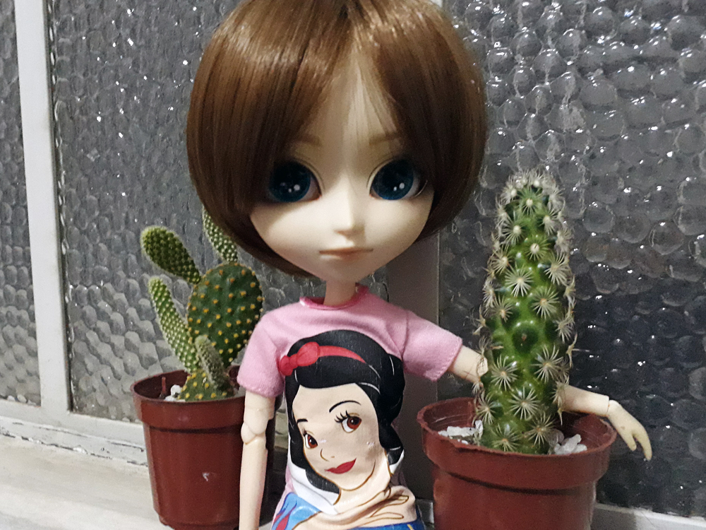 Reginald com uma camiseta cor de rosa da princesa Branca de Neve, da Disney, cercado por dois mini cactos que , ao seu lado, soam cactos de tamanho comum.
