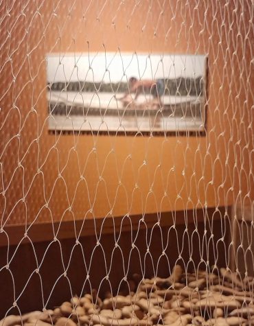 Exposição madeira doce, água áspera, de davi de jesus do nascimento