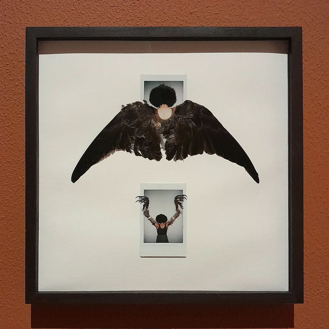 Obra de arte composta de duas fotos polaroids do artista de costa. A foto de cima contém aplicação de asas de pássaros nas costas e a de baixo suas patas nas mãos.