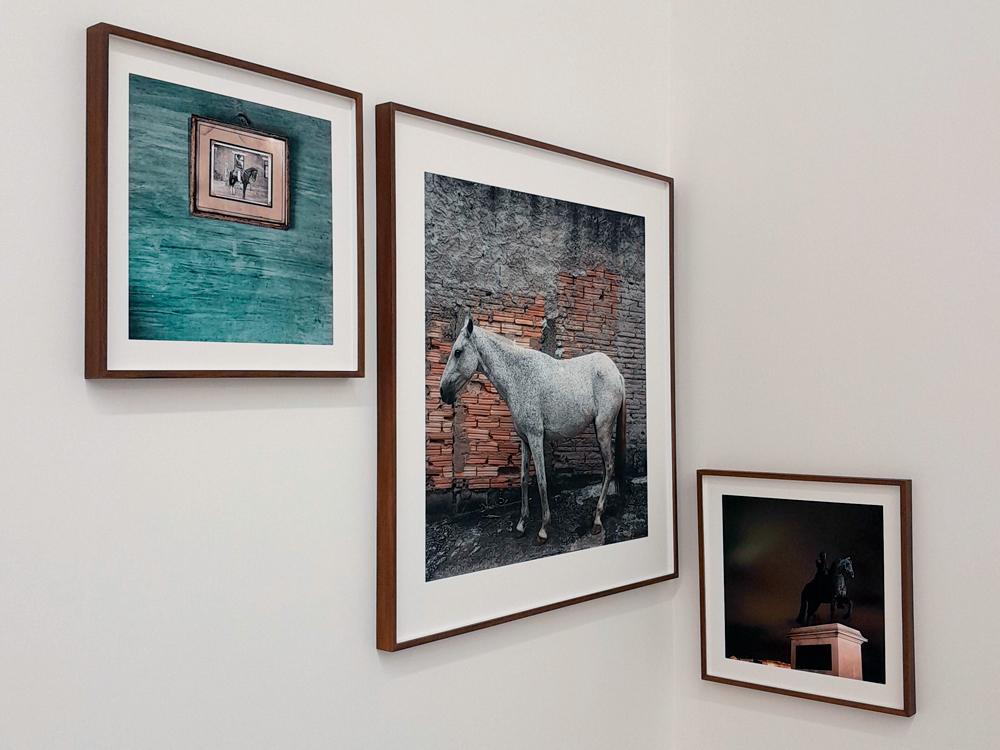 Três fotografias de Jabulani instaladas num canto entre duas paredes. A maior, ao centro, representa um cavalo branco. À esquerda, alinhada ao topo da maior, uma foto de uma parede azul com uma fotografia de um homem e um cavalo. À direita, com o centro alinhado à parte de baixo da maior, uma foto de uma escultura francesa de cavalo.