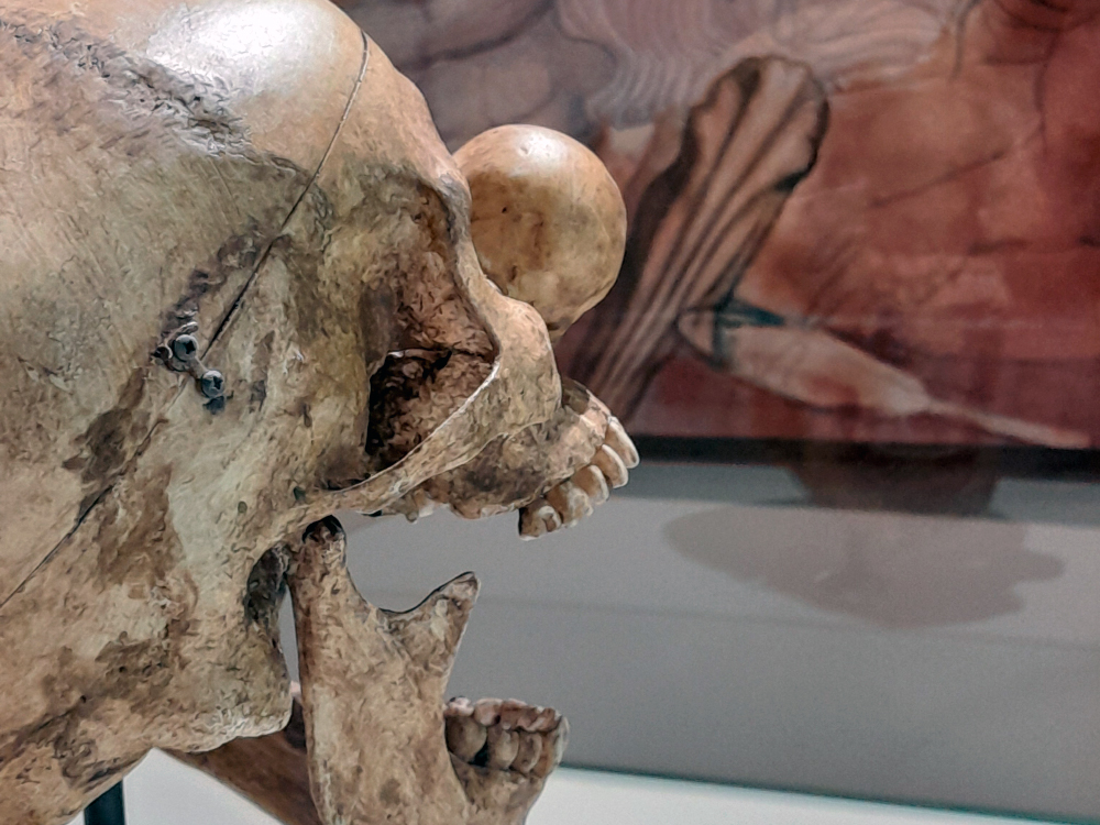 Escultura de caveira humana em madeira exposta de perfil, destacando detalhes anatômicos distorcidos com um nariz redondo de palhaço. Ao fundo, uma pintura em tons avermelhados aparece parcialmente fixada à parece.
