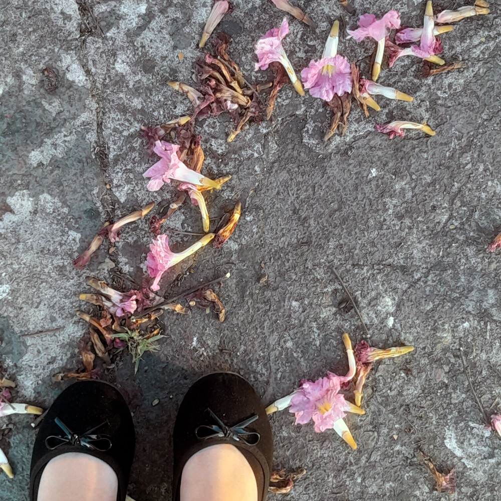Vista de cima mostrando dois pés calçados com sapatilhas pretas de laço sobre um chão de cimento. Ao redor, estão espalhadas flores cor-de-rosa caídas, algumas ainda vivas, outras já secas.