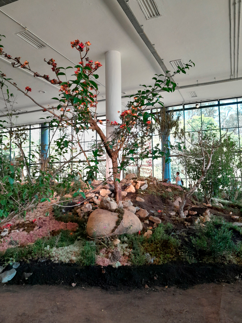 Instalação que recria uma paisagem natural dentro do pavilhão da Bienal de São Paulo. O espaço é coberto por terra, musgos, pedras e pequenas plantas, com um arbusto florido de flores alaranjadas no centro. A composição lembra um jardim ou ecossistema em miniatura, contrastando com a arquitetura moderna e branca do prédio, visível ao fundo através das amplas janelas envidraçadas.