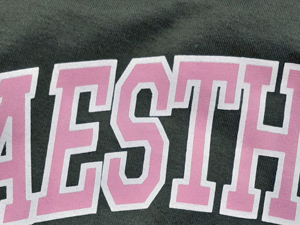 Detalhe da palavra ‘AESTH’ em letras grandes rosa com contorno branco sobre um fundo verde-musgo, mostrando a combinação das Duas Cores em estilo universitário.