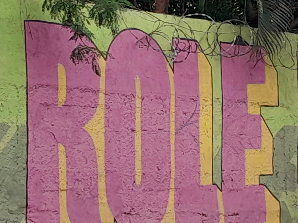 Trecho de um mural urbano com a palavra ‘ROLE’ pintada em rosa sobre um fundo verde e amarelo texturizado, destacando as Duas Cores em estilo artístico vibrante.
