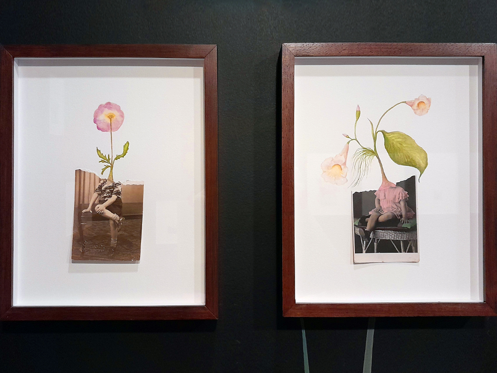 Duas obras de Efe Godoy, exibidas lado a lado em molduras de madeira sobre parede preta. As colagens combinam fotografias antigas em preto e branco com delicadas aquarelas botânicas, criando figuras humanas que se transformam em flores e plantas.