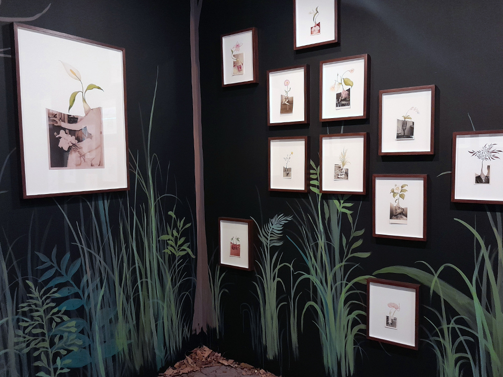 Detalhe de uma das paredes, onde obras emolduradas dialogam com a pintura mural de uma floresta. As colagens unem fotografias antigas e ilustrações botânicas em composições delicadas, distribuídas entre árvores e folhagens pintadas diretamente na parede.