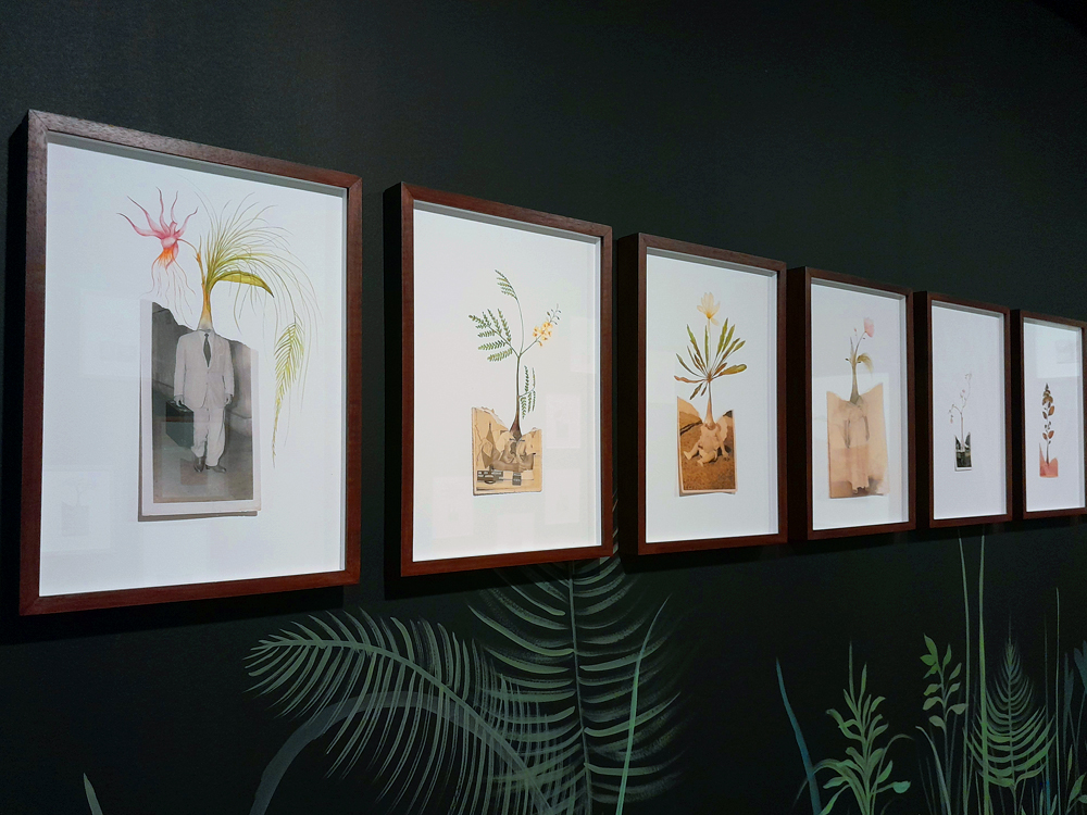 Sequência de obras da artista Efe Godoy, alinhadas sobre uma parede escura decorada com folhas e plantas pintadas. As colagens misturam fotografias antigas, elementos botânicos e aquarelas, criando personagens e paisagens que evocam o encontro entre memória, natureza e imaginação.