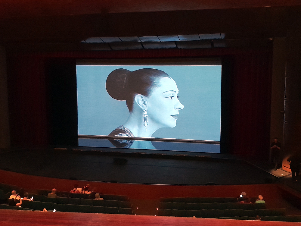 Tarsila, a Brasileira no Palácio das Artes